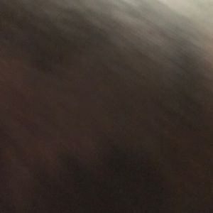 Meet your Posher, Jack